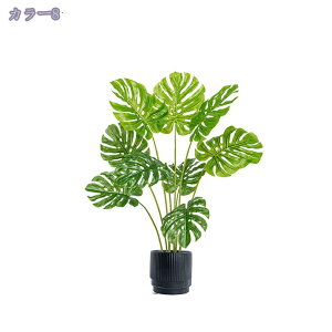 1000~OFFN[| tFCNO[ lHϗtA Iȑ ^ ϗt CeA  ƒ 悯oRj[ Vzj ̓ ̓ Ղ 傫 _ ~͐A Mtg 蕨 