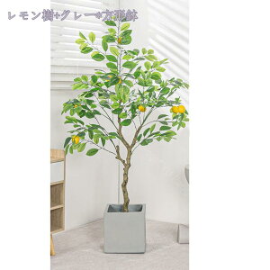 2000~OFFN[| lHA lHϗtA tFCNA tFCNO[ ^   A ȒP sv Q쏜sv CeA lHϗtA 蕨 AȎ}Ɨt A