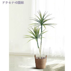 大型フェイク植物 リアル感強い 本物そっくり 現代的な装飾 装飾品 室内用 園芸 屋内 リビング 店舗 エントランス 造園 ホテル お手入れ簡単 虫害心配なし デコレーション 本物そっくり 色