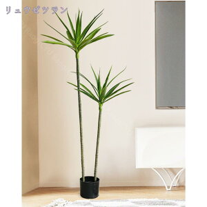 1000~OFFN[| tFCNO[ lHϗtA 傫  킢 v[g 蕨 FN₩ lHϗtA tFCNO[ ^ AȎ}Ɨt Ȓ CeA It