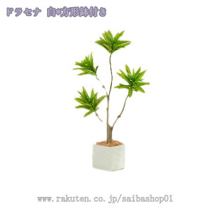 2000~OFFN[| lHhZiA lHϗtACeA ͂Ȃ tA^Cv tFCNO[ JXj CeA Vzj A[gO[ 蕨 ޖLx Mtg rO IV