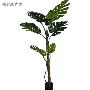 1000~OFFN[| lHϗtA  tFCNO[ CeA A ϗtA ItBX ^ Ȃ` tFCNϗtA lHϗtA  Xܑ t oRj[ ̑