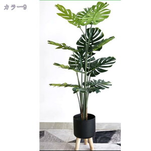 2000~OFFN[| tFCNO[ lHϗtA  Xe NVbN | CeAG  u 킢 ȒPb炸 lHϗtA AeB[N [sA ȒPb