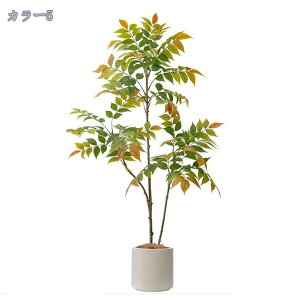 2000~OFFN[| lHA lHϗtA tFCNA tFCNO[ ^  lHϗtA  ϗt A ȒP sv Q쏜sv CeA lHϗtA 蕨 