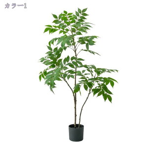 1000~OFFN[| ^tFCNA lHϗtA ͂Ȃ { | rO[ _CjOe[u  j ^ϗtA lHϗtA tFCNO[ K̖ l