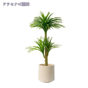 2000~OFFN[| ^tFCNA lHϗtA ͂Ȃ { | rO[ _CjOe[u j ^ϗtA lHϗtA tFCNO[ K̖ lH 