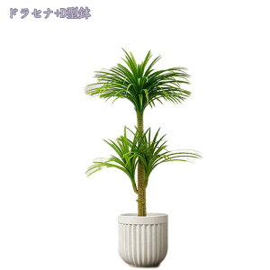 1000~OFFN[| lHA lHϗtA tFCNA tFCNO[ ^  lHϗtA  ϗt A ȒP sv Q쏜sv CeA lHϗtA 蕨 