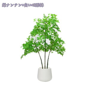 2000~OFFN[| ^tFCNA A { Iȑ i p | O  rO X GgX  ze ȒP sv QSzȂ 