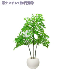 ^tFCNA A { Iȑ i p | O  rO X GgX  ze ȒP sv QSzȂ ^tFCNA