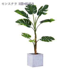 2000~OFFN[| lHϗtA ^TCY Mъϗt Xe tFCNO[ CeA  rO ItBX ItBX  c X gsJA AȎ}Ɨt R