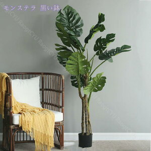 2000~OFFN[| lHϗtA ^tFCNA Mъϗt Xe tFCNO[ CeA  rO ^ϗtA ItBX tFCNA  ^tFCNA ^