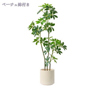 2000~OFFN[| ϗtA tFCNO[ 傫 A Rȗt gsJA ͂Ȃ Mъϗt ȒPb炸 { u₩ ډB k ͗lւ z  Gg
