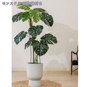 ^tFCNA A { Iȑ i p | O  rO X GgX  ze ȒP sv QSzȂ ^tFCNA