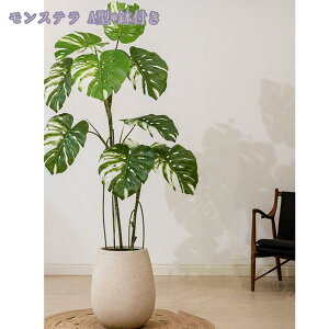 2000~OFFN[| lHA lHϗtA tFCNA tFCNO[ ^  CeA lHϗtA ^ϗt A ȒP sv Q쏜sv ^ϗtA CeA 