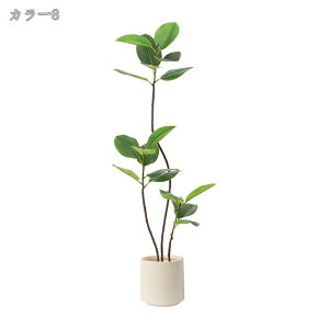 1000~OFFN[| lHϗtA tFCNO[ 傫 A Rȗt N₩ȐF  ze ItBX  O 悯oRj[ i` ȒP sv u₩ ډB l