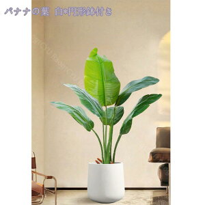 2000~OFFN[| l ^ϗtA tFCN ϗtA tFCNO[ ^ tFCN ^ A V~[V rbO~ gsJA  ze ItBX lHϗtA 