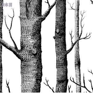 1000~OFFN[| ǎ ǎV[ 6M h h C ͂ k a Ȃ CNV[g DIY V[g Q X  ؖ ǎیV[g ͗lւ ̂t hh h 