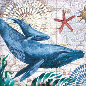 ^yXg[  Ǌ| Cm T^yXg[ EH[A[g CeA G ₵ [Ci @\Ǌ| Ǐ z|X^[ C J[e Ԏd؂ Vzj a v