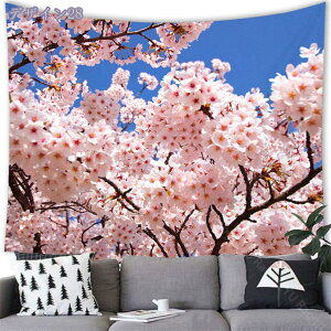 300~OFFN[| ^yXg[  i Ǐ   Ԃ̖ a CeA J[e ͗lւ t͋̕C CX^f @\ wiz v[g Be rfIc xb