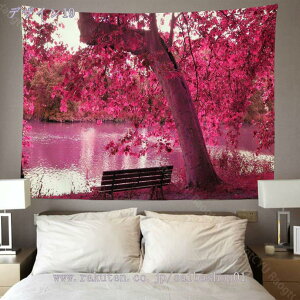 500~OFFN[| ̃^yXg[ Ǌ| Ǐ J  RiF IV wi @\ z|X^[ CeA ͋C] a   ̉ԕǊ| ^yXg[ 唻 EH[