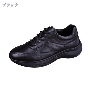 1600~OFFN[| hCrOV[Y Y fbLV[Y JWAV[Y rWlX jp [XAbv ~ Sn Ȃ y ₷ EH[LOV[Y ʋ 
