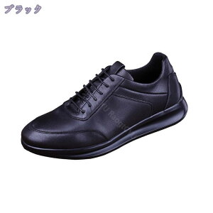 1600~OFFN[| Xj[J[ EH[LOV[Y Y C t H~ JWA ł Oo R K tBbg _炩 y` Vv  킢 傫TCY  JWA