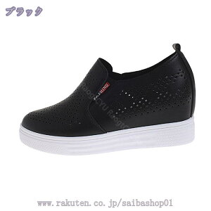 500~OFFN[|  Xb| fB[X Xj[J[ Cq[ ̌C ʋC [t@[ EhgD [Jbg JWA  ʊw V[NbgV[Y y ~ 傫