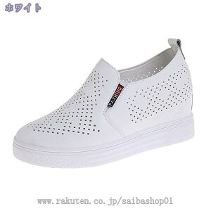 500~OFFN[|  Xb| fB[X Xj[J[ Cq[ ̌C ʋC [t@[ EhgD [Jbg JWA  ʊw V[NbgV[Y y ~ 傫