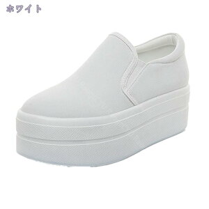 1600~OFFN[| Xj[J[ fB[X Cq[Xj[J[ EH[LOV[Y r V[NbgV[Y y V[Y [XAbv 6cm q[Abv r ɂ g