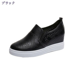 500~OFFN[| Xb|  fB[X [Jbg Xj[J[ n EFbW\[   Ȃ JWA ʋ ʊw ^C ɂȂ EFbW Xj[J[ C TChSA