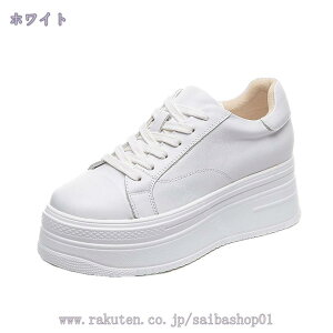 Cq[Xj[J[ fB[X Xj[J[ JWAV[Y  r V[NbgV[Y V[Y [XAbv 7cm q[Abv y gAbv wlC [t@