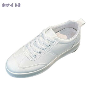 500~OFFN[| Y JWAV[Y  ɂ EH[LO  [Jbg V[Y h [XAbv Sn C y Xj[J[ ₷ ₷ amC 