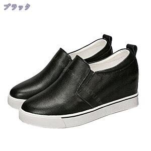 1000~OFFN[| EhgD Xb| U[  5cmq[ fB[X Xj[J[ RȂ TCY  Ղ Xj[J[ JWA  ʊw s tbgV[