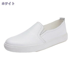 500~OFFN[| Xb| Xj[J[ fB[X    [t@[ [Jbg 傫TCY ₷  JWAV[Y tbgV[Y q[ Xj[J[ v