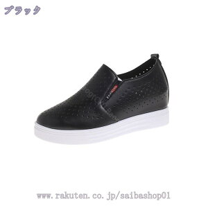 1000~OFFN[|  Xb| fB[X Xj[J[ Cq[  ʋC [t@[ EhgD [Jbg zCg JWA  ʊw V[NbgV[Y y ~ 