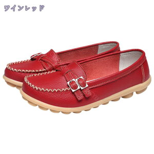 500~OFFN[|  Xb| fB[X Xj[J[ [t@[ EhgD tbgV[Y ؂ JWA  ʊw s y ʋC [Jbg 傫TCY JV R