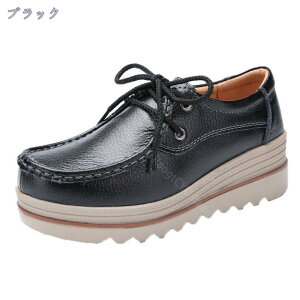 V[Y D^ i[XV[Y fB[X EH[LOV[Y 5CM Xj[J[ Ōt ƌC SC y ₷ Ȃ wlC V[Y [XAbv [t@[ EF