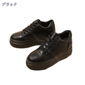 1000~OFFN[| Xb| fB[X V[Y vbgtH[ 8cmq[Abv Cq[ [XAbv  fB[X U[ [Jbg Xj[J[ Xj[J[  JWAV