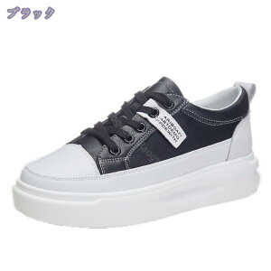 777~OFFN[| tbgV[Y fB[X Xj[J[ fB[X fbLV[Y JWAV[Y fB[X ꃍ[t@[ fB[X Xb|  傫TCY tb