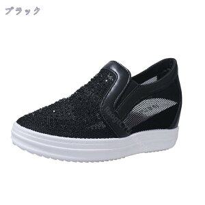 500~OFFN[|  Xb| fB[X [t@[ zCg ubN EhgD Cq[ [Jbg JWA  ʊw 22.5-25cm y ʋC  Xj[J[ gAb