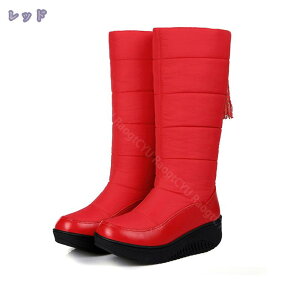 1000~OFFN[| u[c fB[X Xm[u[c hC h Ou[c C ~C h y N ȌC Ή fB AEghA ~pu[c ʋ ʊw ےg JWA [gu[