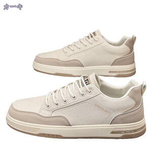 1000~OFFN[| IbNXtH[hV[Y Xj[J[ [Jbg Y h h y JWA rWlXXj[J[ jOV[Y EH[LOV[Y ^C tBbglX