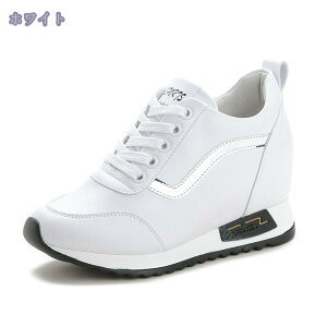 C fB[X  [XAbv [X [t@[ Xj[J[ [XAbv Cq[ ̌C zCg V[NbgV[Y ďHt w ʊwC ł JWA X|[cV