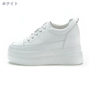 3500~OFFN[| C fB[X  [XAbv [X [t@[ Xj[J[ [XAbv Cq[ ̌C zCg V[NbgV[Y ďHt w ʊwC ł JW