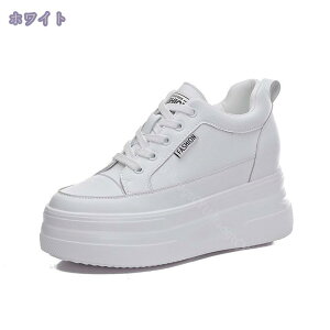 1000~OFFN[| 10cmgUP Xj[J[ fB[X JWA V[Y ʋC Cq[V[Y _XXj[J[ ʋ ʊw rXj[J[   킢 CR y JWA