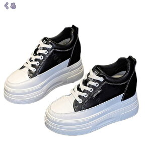 1000~OFFN[| Cq[Xj[J[ V[Y V[Y q[10cm  Xj[J[ LpXXj[J[fB[XV[Y JWA ₷ Cq[ JWA V