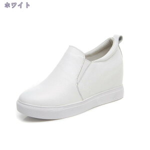 2000~OFFN[| Xb|  fB[X Xj[J[ {v EhgE [Jbg TChSA EFbW\[ ʋC Cq[ JWA ₷ s ʊw ʋ EhgD E