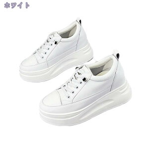 1000~OFFN[| C\[Xj[J[ fB[X Xj[J[  Cq[ V[Y  [X ʋC JWA Xj[J[ fB[XV[Y C\[ [XAbv 