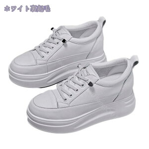 1000~OFFN[| C\[Xj[J[ fB[X Xj[J[  Cq[ V[Y  [X ʋC JWA Xj[J[ fB[XV[Y C\[ [XAbv 