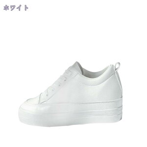 Cq[ [XAbv Cq[Xj[J[ fB[X C C\[ Xj[J[ [X ʋC EFbW\[ Xj[J[ ȂC ꂢ  E₷ d ʊw 